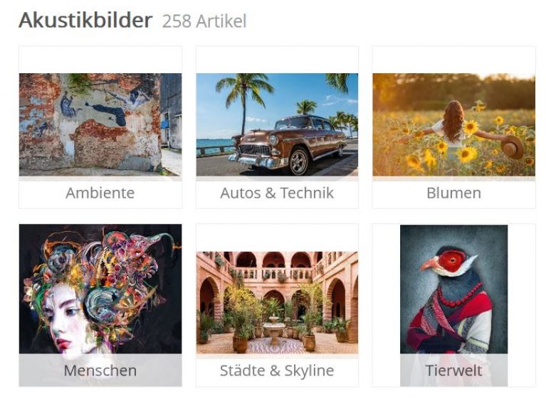 ImageLAND Die Adresse F r Ansprechende Qualit tsvolle Akustikbilder 