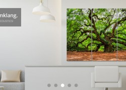 Imageland-shop.de erweitert sein Sortiment: Entdecken Sie die faszinierende Welt der Akustikbilder online!