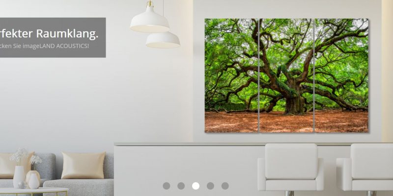 Imageland-shop.de erweitert sein Sortiment: Entdecken Sie die faszinierende Welt der Akustikbilder online!