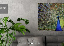 ImageLAND – günstige Acrylgemälde von aufstrebenden Künstlern