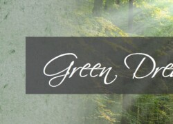 DPM Mashel GmbH präsentiert: „Green Dream“ – Die ökologische Wandfarbe für ein gesundes und harmonisches Zuhause