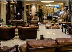 Mietmöbel – stylische Eventmöbel für jeden Geschmack und Geldbeutel