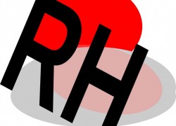 Providerwechsel leicht gemacht: Ruprecht Helms IT-Service und Softwareentwicklung bietet umfassende Betreuung beim Domainumzug