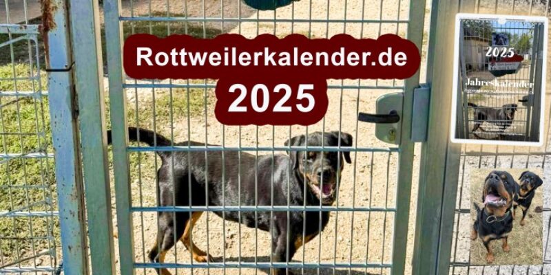 Facebook-Gruppe „Unsere Rottis & Co, in der Auffangstation die Vergessenen“ hilft geretteten Hunden in Not