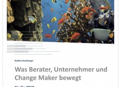 Hohe ungenutzte Potenziale – bei Experten, die viel bewegen könn(t)en