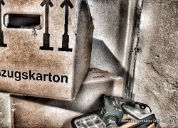 Wohnungsumzug selbst machen oder lieber vom Profi?